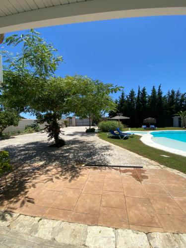 un patio avec un arbre à côté d'une piscine dans l'établissement Chalet Brisas del Mar, à Chiclana de la Frontera