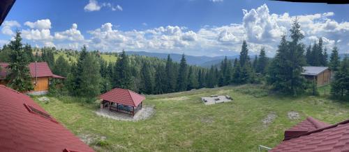 Afbeelding uit fotogalerij van Cabana Transilvania in Beliş