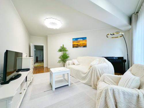 TV a/nebo společenská místnost v ubytování 135m2 new apartment 5 rooms with airport pickup