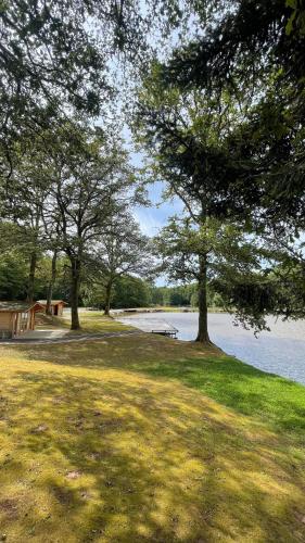 un parc avec des arbres et une masse d'eau dans l'établissement Hébergement au bord de l'eau, à Frahier-et-Châtebier