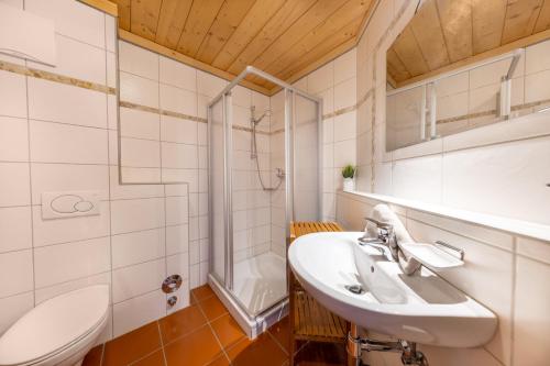 ein Bad mit einem Waschbecken, einer Dusche und einem WC in der Unterkunft Appartement Juri Hochkrimml in Nothdorf