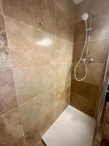 La salle de bains est pourvue d'une douche et d'un mur en pierre. dans l'établissement 