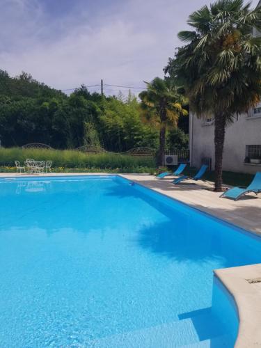 une grande piscine bleue avec des chaises et un palmier dans l'établissement Appartement De La Vallée, à Saint-Martin-le-Beau