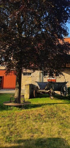 a horse drawn carriage parked next to a tree at Hotel Henriettenhof Weimarer Land, Weimar-Bad Berka in Bad Berka