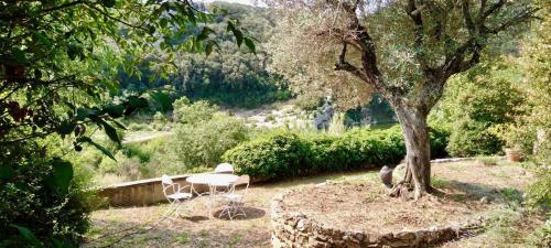 une table et des chaises sous un arbre dans un jardin dans l'établissement LOCATION VACANCES LA VILLA DU GARDON - EXCEPTIONNEL A COLLIAS - ACCES DIRECT A LA RIVIERE - VUE PANORAMIQUE SUR LES GORGES - 2500€/sem, à Collias