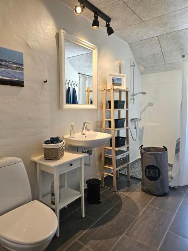 a bathroom with a sink and a toilet and a shower at B&B Hygge Jegindø in Thyholm