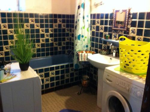 une salle de bain avec un lavabo et une machine à laver dans l'établissement Gîte de la perge haute, à Vals-les-Bains