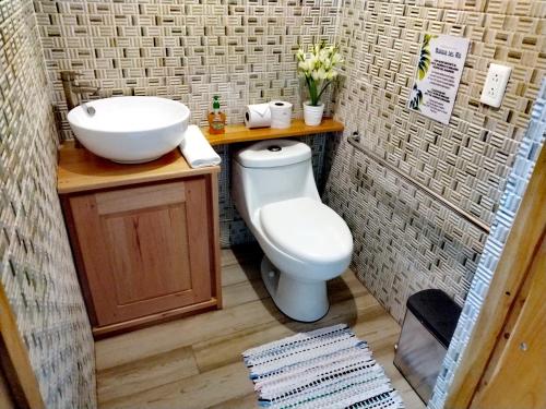een badkamer met een wastafel, een toilet en een wastafel bij Hospedaje Bosque del Río in Monteverde Costa Rica