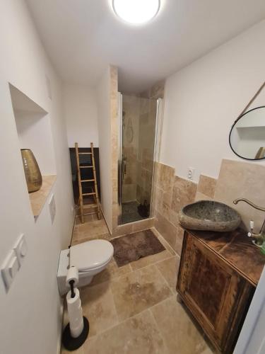 een badkamer met een toilet, een wastafel en een douche bij Chambre d'Hôtes in Volonne
