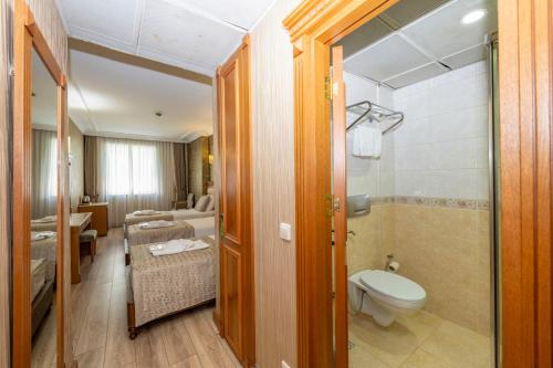 a bathroom with a toilet and a shower and a sink at Dalan Hotel -Old City istanbul in Istanbul