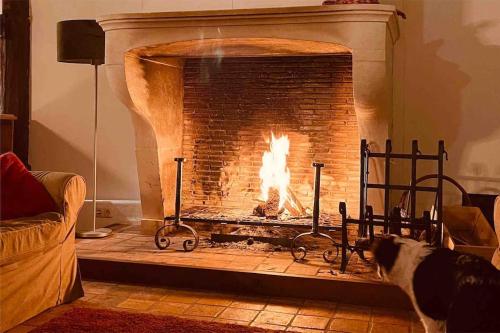 a dog sitting in front of a fireplace at De Twee Zwanen in Delfstrahuizen