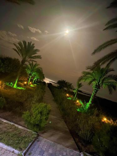 a walkway with palm trees and a street light at Paradise Karpaz Hotel & Restaurant in Rizokarpaso
