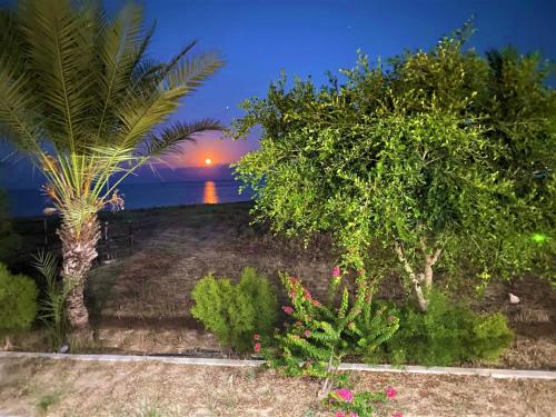 um jardim com vista para o oceano à noite em Paradise Karpaz Hotel & Restaurant em Rizokarpaso