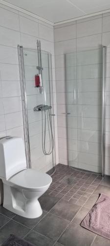 y baño con ducha y aseo. en Villa Elme en Växjö