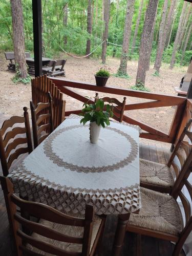 a table with a potted plant on top of it at Boszkowo Domki-Stonki in Boszkowo