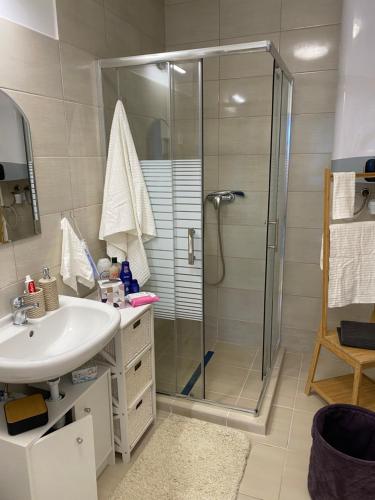 y baño con ducha y lavamanos. en Megnyugtat-LAK Vendégház en Tokaj