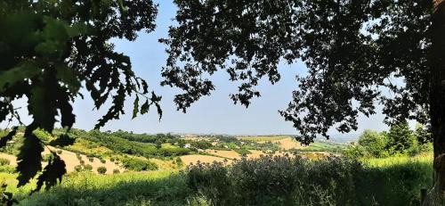 a view of the rolling hills from a tree at Villa Belohorizonte in Macerata