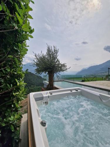 a jacuzzi tub with a tree in the background at Bella Flocon appartements min 2 Nights Special weekly and monthly prices in Savièse