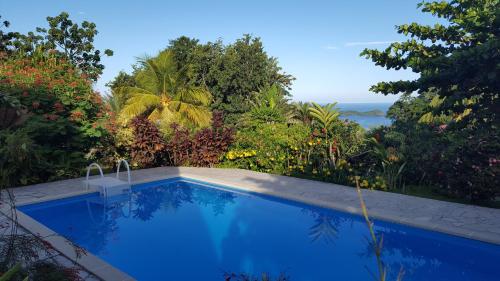 a swimming pool in a garden with a view of the ocean at Vacances Bien Etre Guadeloupe in Bouillante