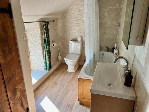 a small bathroom with a toilet and a sink at Baddegai Holiday Cottage in Brecon