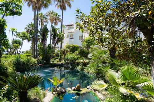 Costalita Beach Apartment photo 24