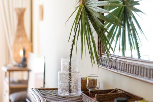 Costalita Beach Apartment photo 30