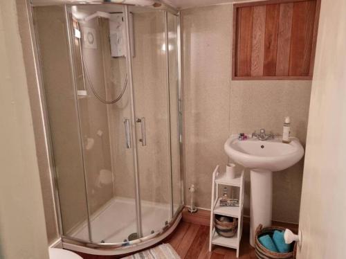 un bagno con doccia e lavandino di Glasfor Cottage a Llwyngwril