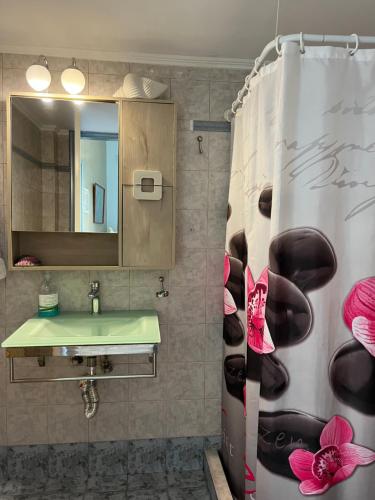a bathroom with a sink and a shower curtain at Voula's Apartment in Elafonisos