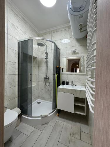 a bathroom with a shower and a toilet and a sink at Emerald Apartament in Chernivtsi