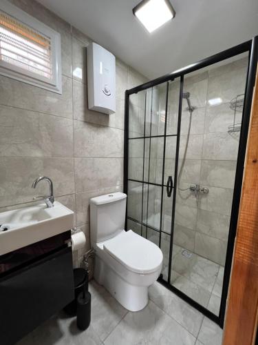 ein Bad mit einem WC, einer Dusche und einem Waschbecken in der Unterkunft Noveli Tiny House in Ardeşen