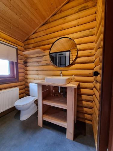 ein Badezimmer mit einem Waschbecken, einem WC und einem Spiegel in der Unterkunft Finse Woning op Camping De Tulpenweide in Breezand