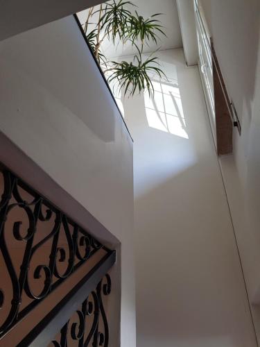 a staircase with a window and a plant at Hotel Villa Pagoda in Sirmione