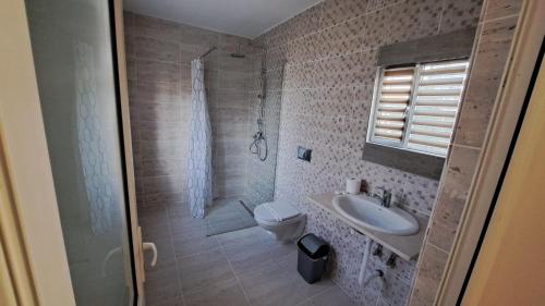 a bathroom with a toilet and a sink and a shower at VILA TAMI in Costinesti
