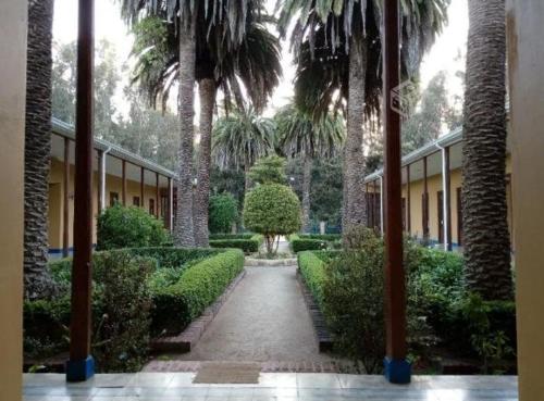 a courtyard with palm trees and a walk way at Condominio Ilimay Las Cruces in Las Cruces