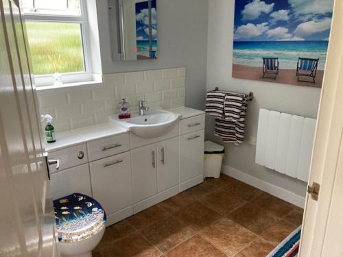 a bathroom with a sink and a toilet and a window at Seaview bungalow in Hornsea