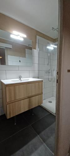 Koupelna v ubytování Appartement LEUCATE