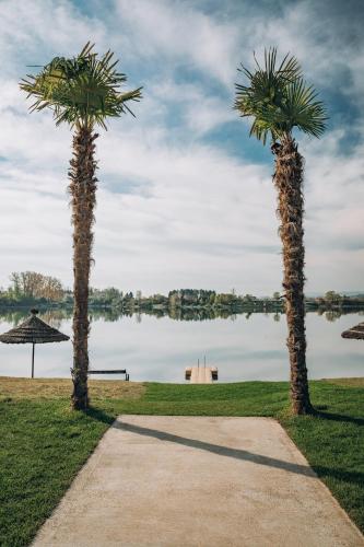 two palm trees standing next to a lake at ANKERPUNKT Seeblick in Neutillmitsch