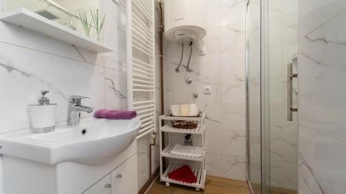 a bathroom with a sink and a shower at Dvije lipe in Moravice
