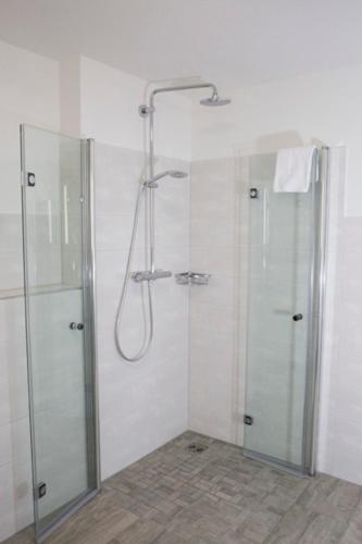 a bathroom with a shower and a glass shower stall at Landhaus Sterdebüll in Bordelum