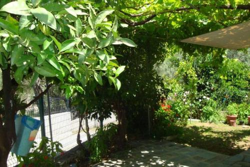 a fence in a garden with a tree at Grapes and Roses in Igoumenitsa
