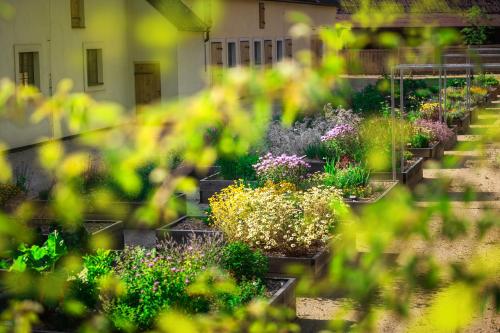 Jardin de l'établissement Posedy Panský dvůr Telč