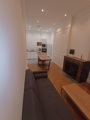 un salon avec un canapé et une cheminée dans l'établissement Appartement proche Gare Part-Dieu, à Lyon
