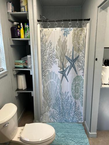 bagno con tenda doccia e servizi igienici di Seagull Seaclusion a Sargent