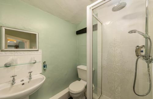 a bathroom with a shower and a toilet and a sink at Bower House Inn in Eskdale