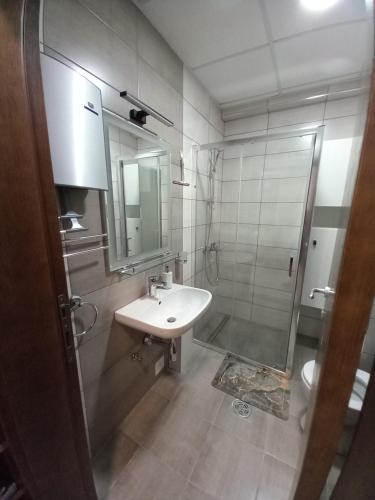 y baño con lavabo y ducha. en Stojanović apartman Jagodina, en Jagodina