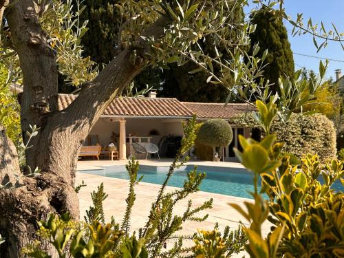 una casa con piscina y un árbol en Mas des Bambous, en Saint-Rémy-de-Provence