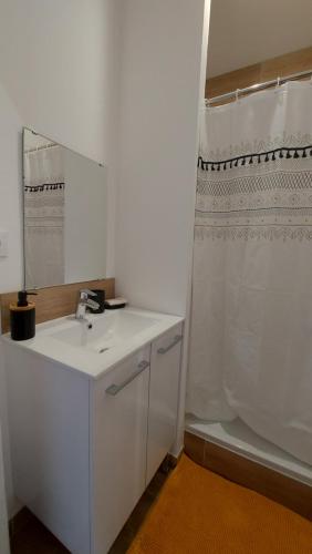 une salle de bain avec un lavabo blanc et une douche dans l'établissement Soleil Blaisois, à Blois
