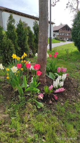 a bunch of flowers in front of a tree at Ferienhaus am Bach in Achslach