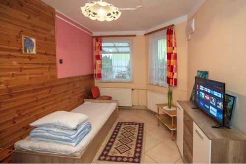 Habitación pequeña con cama y TV. en Négy Évszak Vendégház, en Lukácsháza