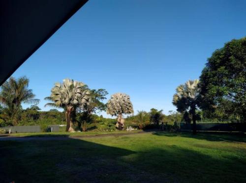 Blick auf einen Park mit Palmen in der Unterkunft Espaces Zens&Stimulants grand confort 3ch 3sdb Espaces Jardin Cuisines Sport & Baignade in Cayenne
